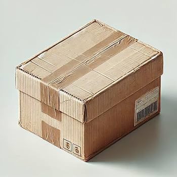 Amazon.co.jp: 納品不備商品 計上専用ASIN - 納品手続きされてい